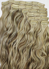 Blonde Clip-In Extensions